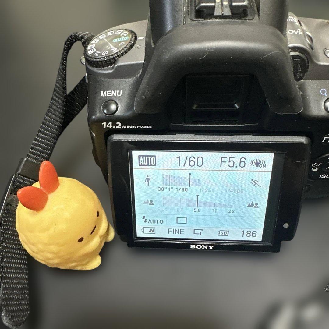 SONY α380 デジタル一眼レフカメラ 動作確認済 レンズセット 中古良品