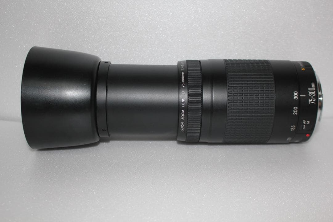 デジタル一眼レフカメラ☆望遠レンズ☆Canon EF75-300㎜