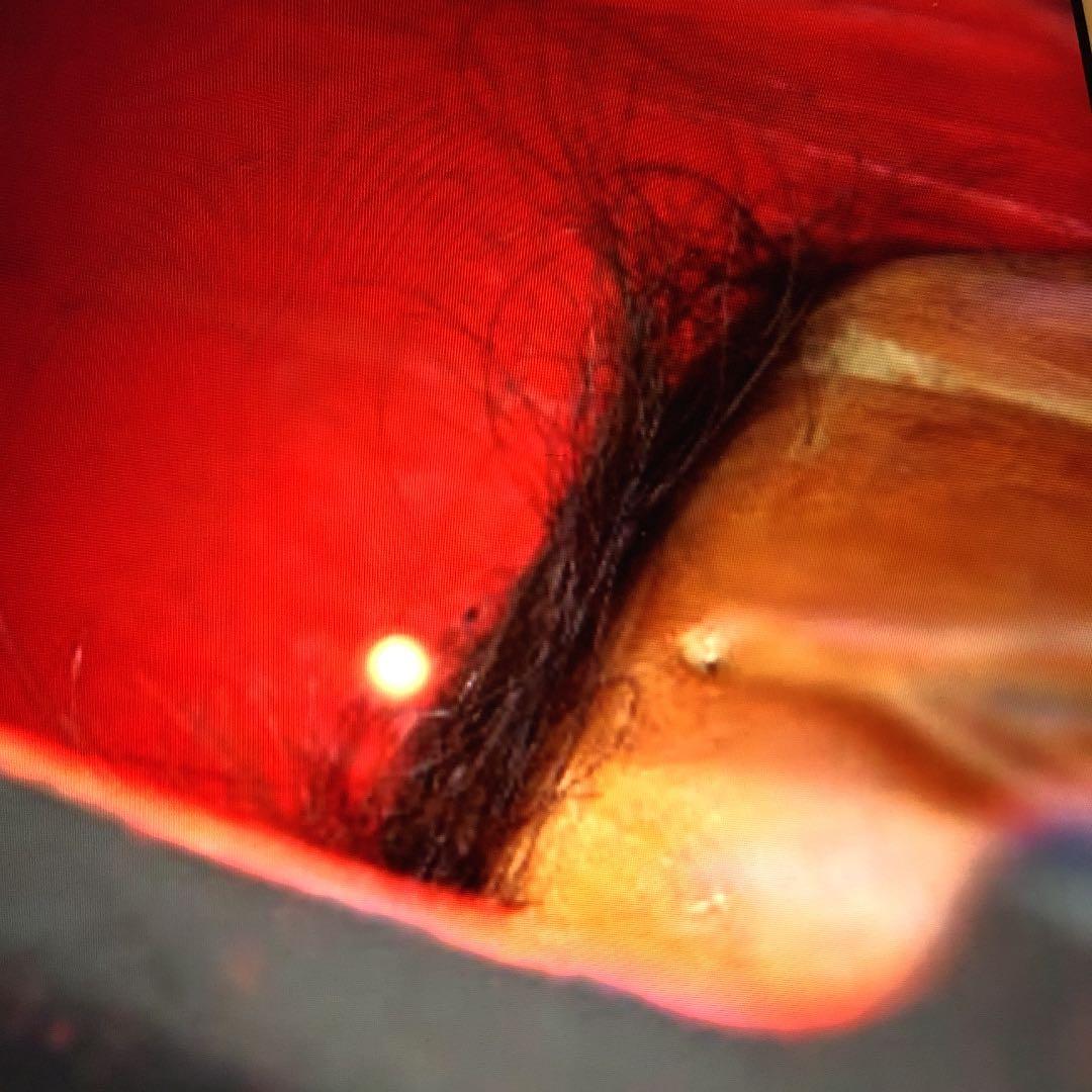 満子授個人旧家整理品珍品｜時代木造春画細工男根女陰福神