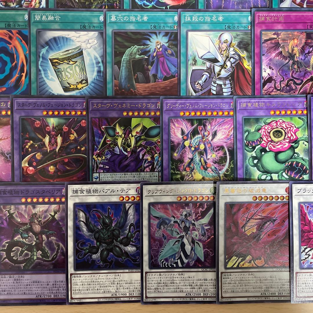 本格構築 捕食植物デッキ プレデタープランツデッキ 血樹竜姫