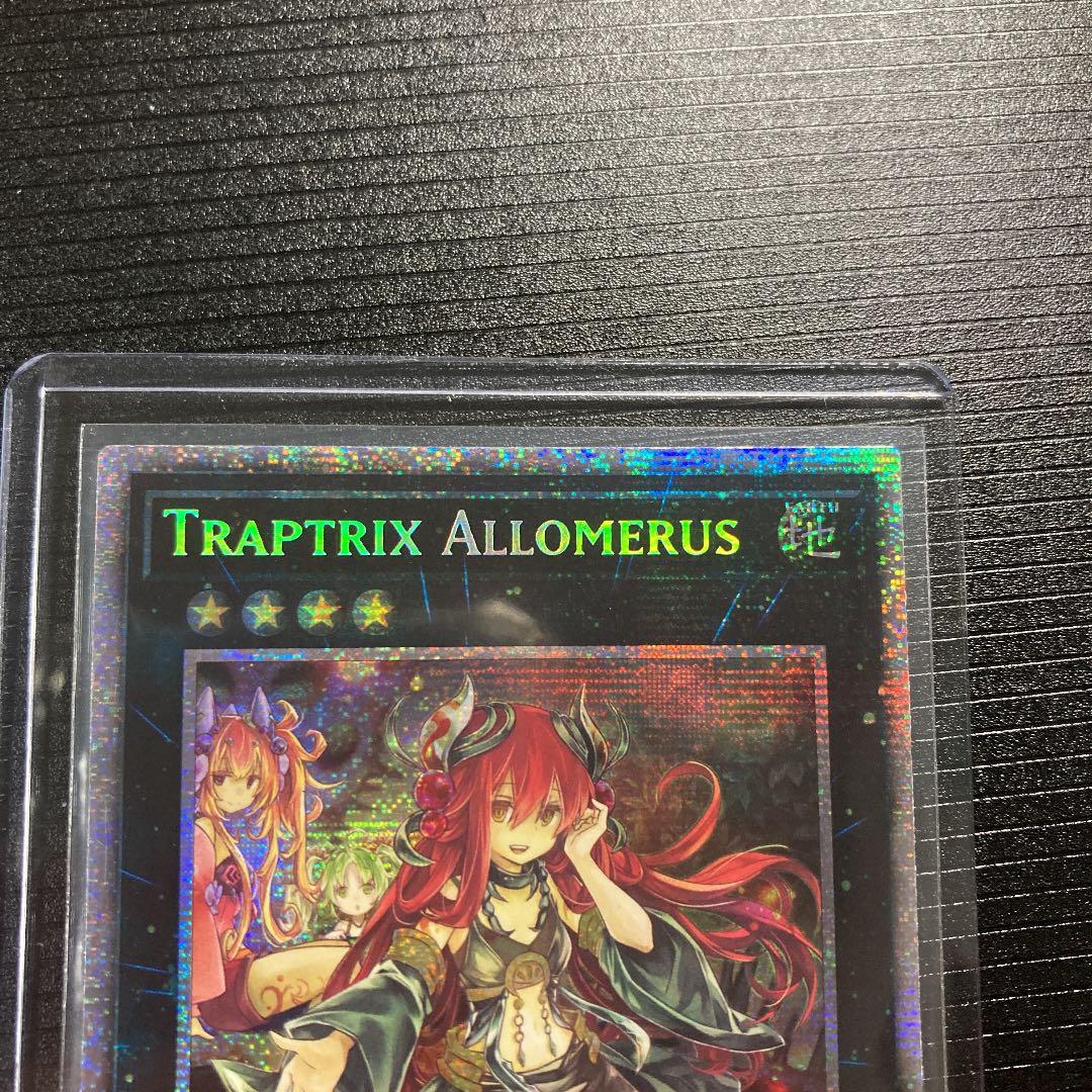 遊戯王 アロメルスの蟲惑魔 スターライトレア 1st 英語版