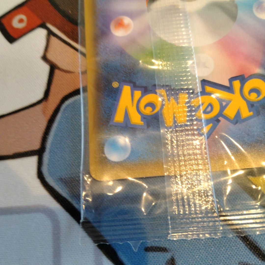 ポンチョを着たイーブイ リーフィア　未開封