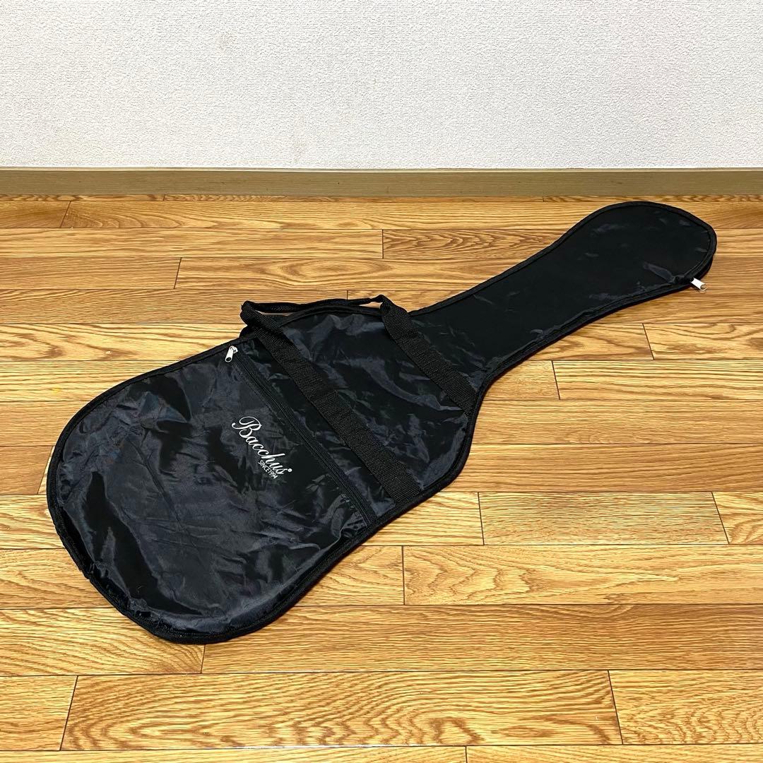 美品 Bacchus バッカス BMS-SH/R サイクロン