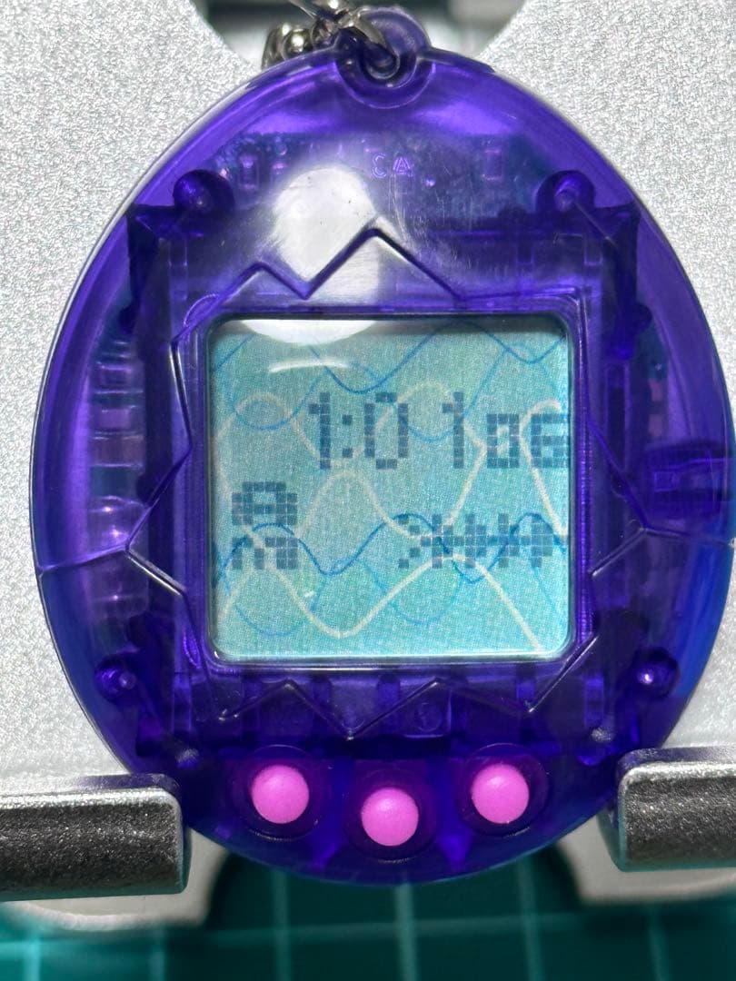 たまごっち 海で発見 希少 レア 品薄 レトロ BANDAI (バンダイ