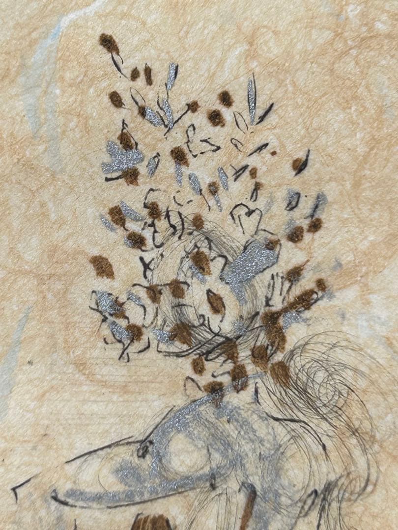 サルバドール・ダリ 彩色銅版画 『小ヌード』1972年作品 ダリ直筆