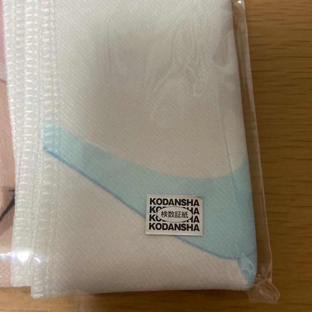 新品未開封 フェアリーテイル これくしょんパーク エルザ タオル