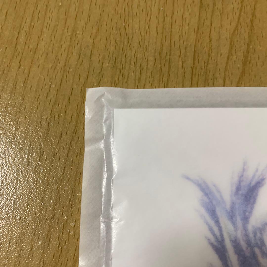 CorLeonis (やなぎなぎ)会場限定 玻璃鏡の双子/金魚鉢のセイレーン