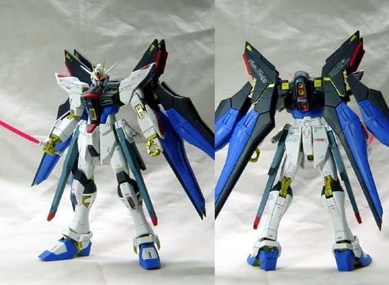 MG2体セット ストライクフリーダム デスティニー ガンプラ塗装済完成品