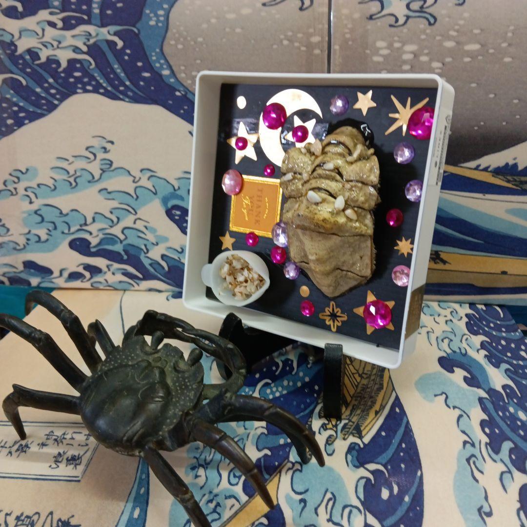 稀少レア四国太平洋沖深海生物タカアシガニふんどし腹リアル凹凸標本