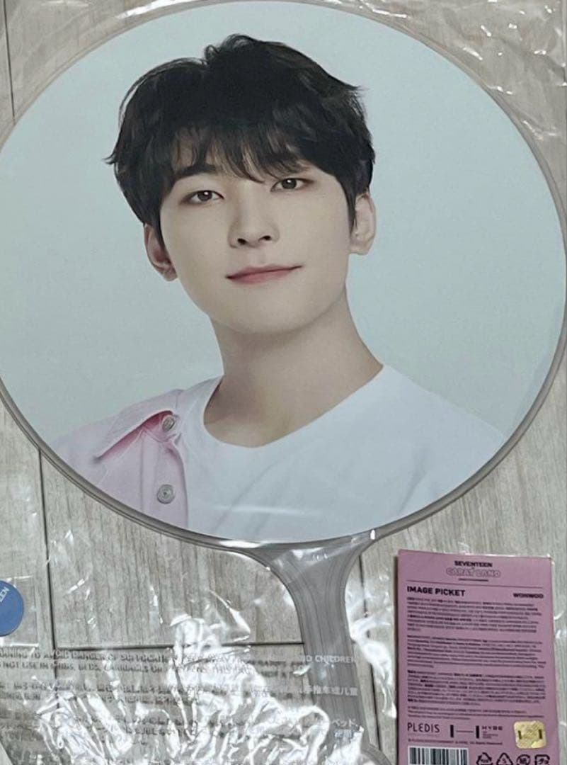 SEVENTEEN ウォヌ ピケット うちわ CARAT LAND 2023 ジュン セブチ