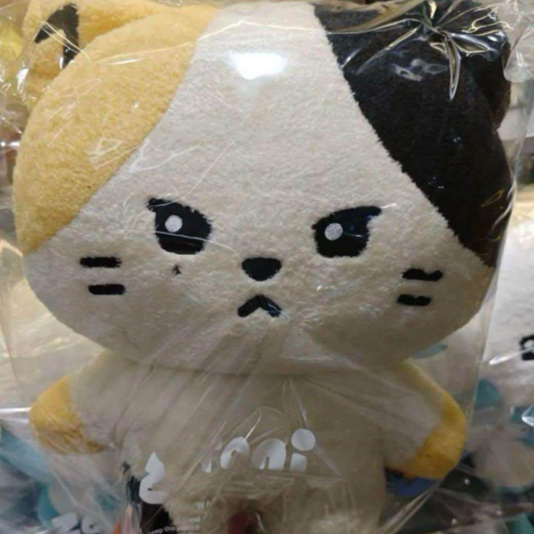 ゼベワン rinini リッキー ゼロニ リニニ フラットクッション - メルカリ