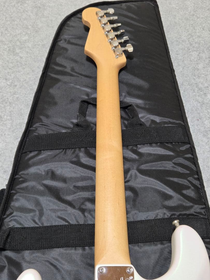 コンポーネントエレキギター T's Guitars USACG Fender