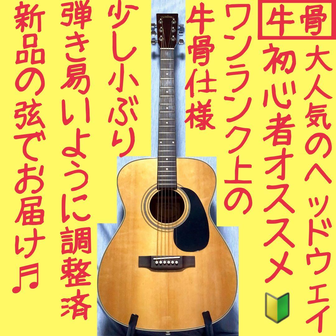 Headway アコースティックギター HCF-18 美品 HCF-18 ヘッドウェイ