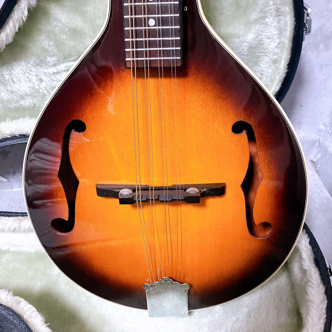 【希少・美品】Aria フラットマンドリン Am-200 BS ハードケース付き