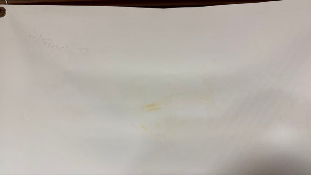 超希少】非売品直筆サイン入りダイムバックダレル 大型ビニールポスター