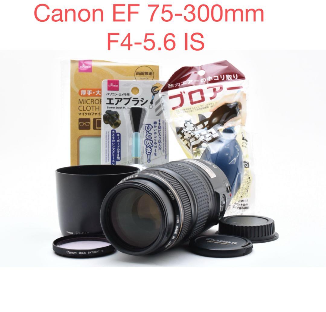 人気の望遠レンズ/デジタル一眼レフカメラ/Canon EF75-300㎜ Amazon.co