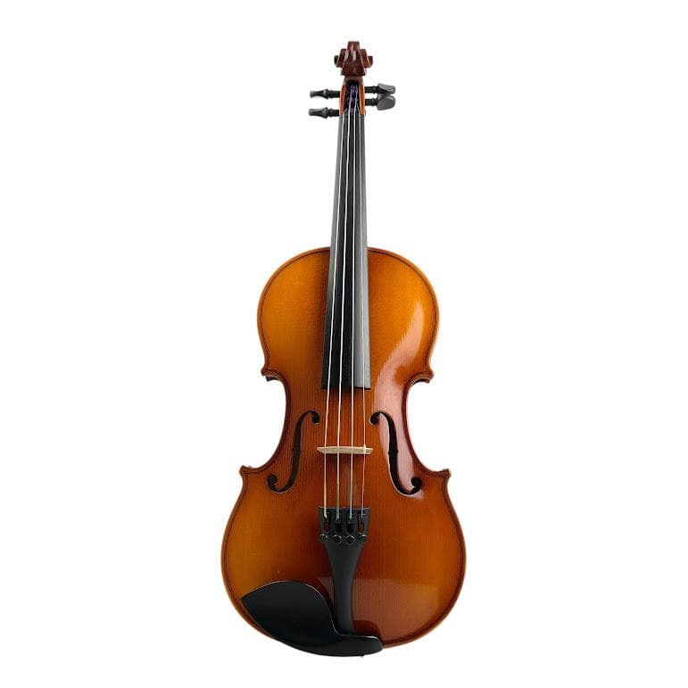 極美品○HORA Reghin○1/2 ホラ レギン バイオリン 初心者・中級者