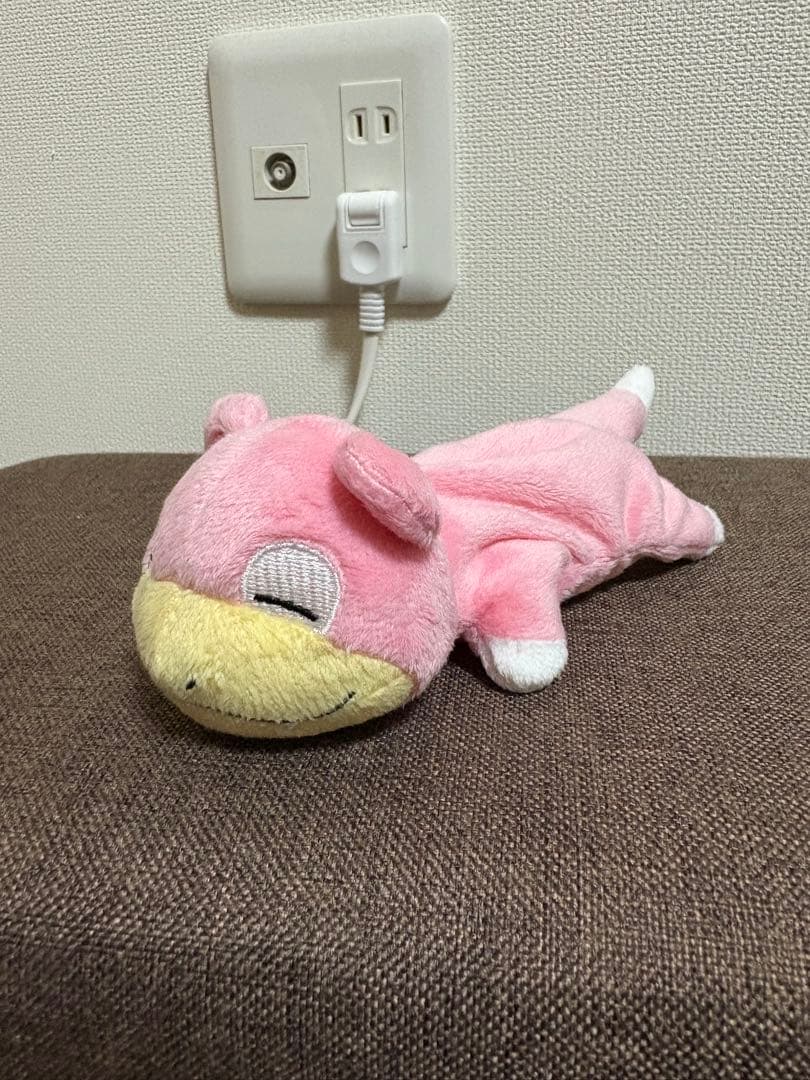 ヤドン大好き♡