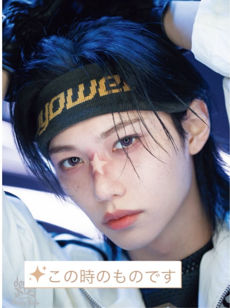 straykids felix フィリックス直筆サインチェキ　ポラロイド　エコパ