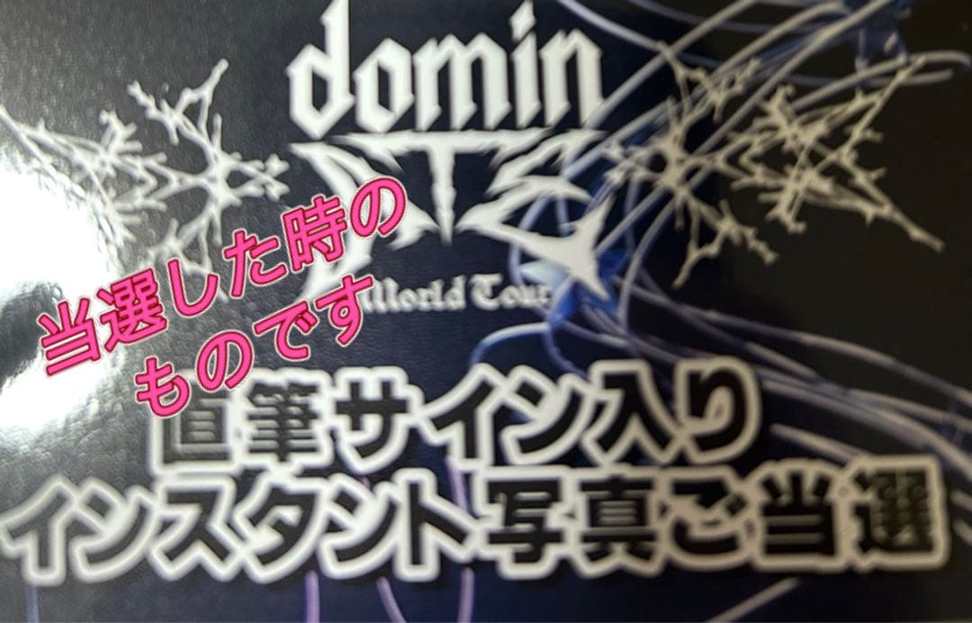 straykids felix フィリックス直筆サインチェキ　ポラロイド　エコパ