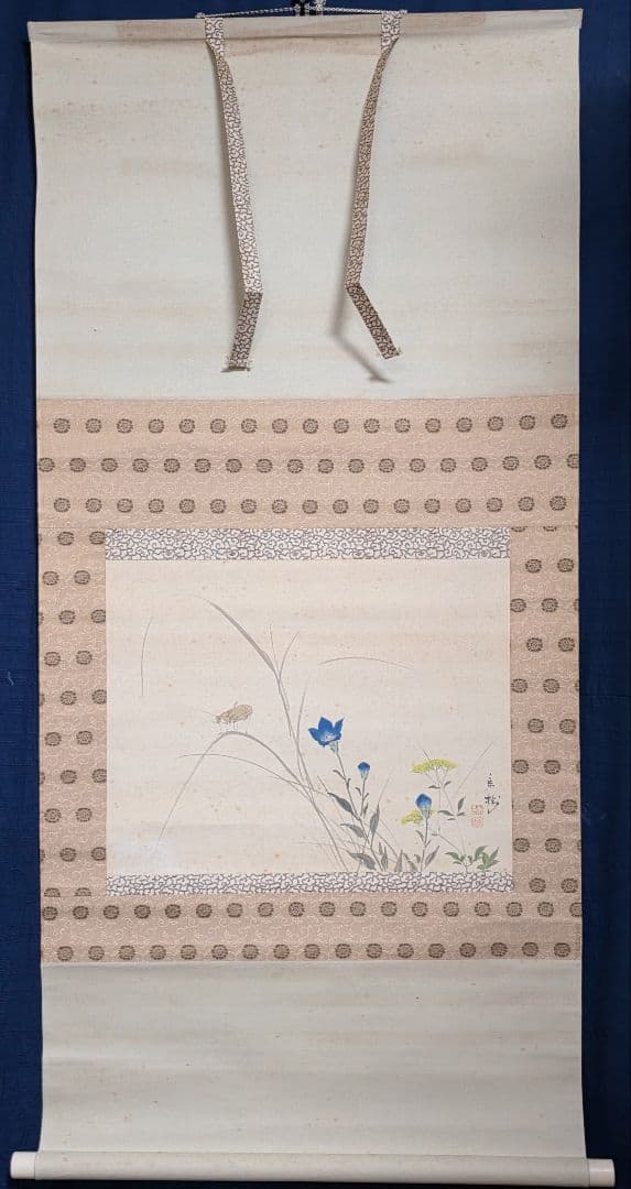 【秋草(桔梗に虫)図】今井景樹 2715 掛け軸 共箱 肉筆 秋掛け