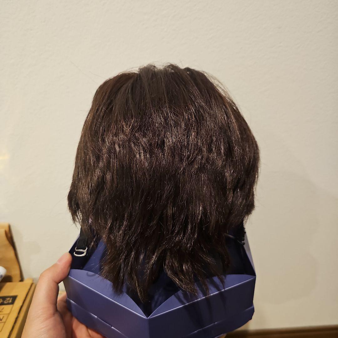 限定値下げ!! 美品!!フォンテーヌ フルウィッグ VR04 R141