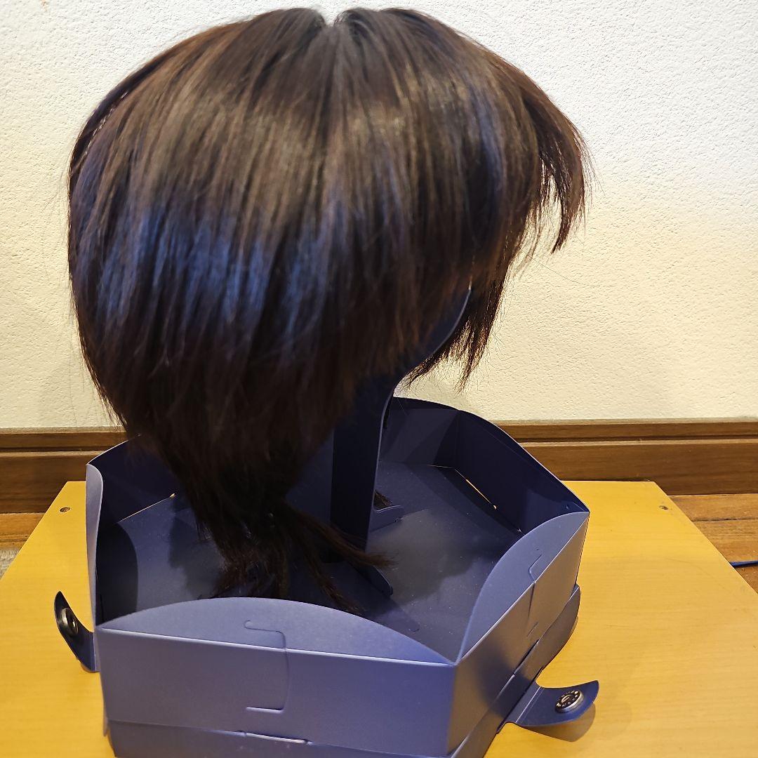 限定値下げ!! 美品!!フォンテーヌ フルウィッグ VR04 R141