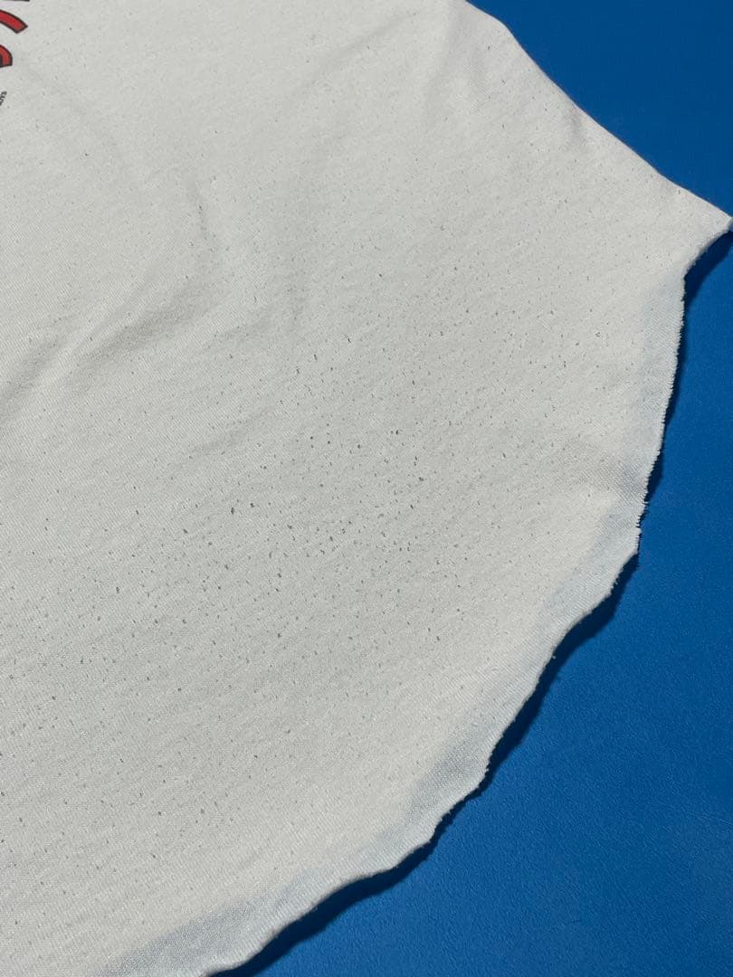 激レア90´s Beastie Boys ラグランTシャツ Lサイズ 1994