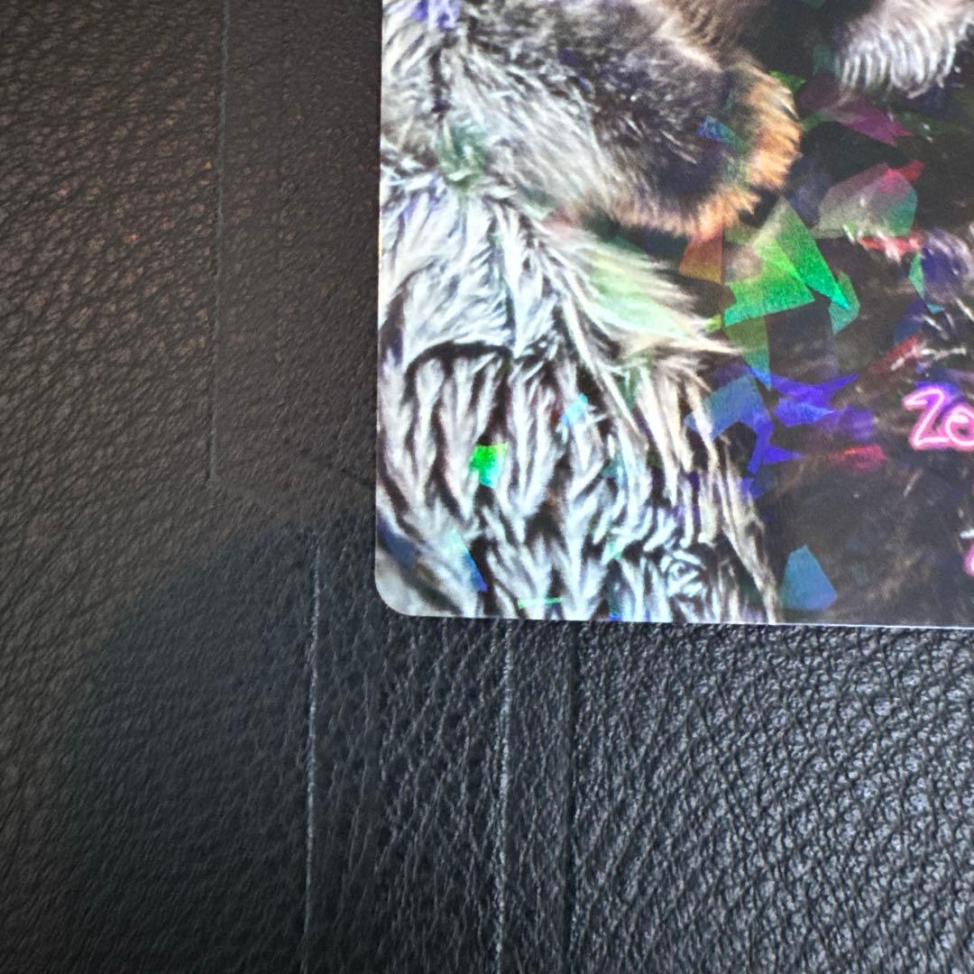 最安値‼️ 鳥羽水族館　コレクションカード　70周年記念　ラッコ　メイ　レア