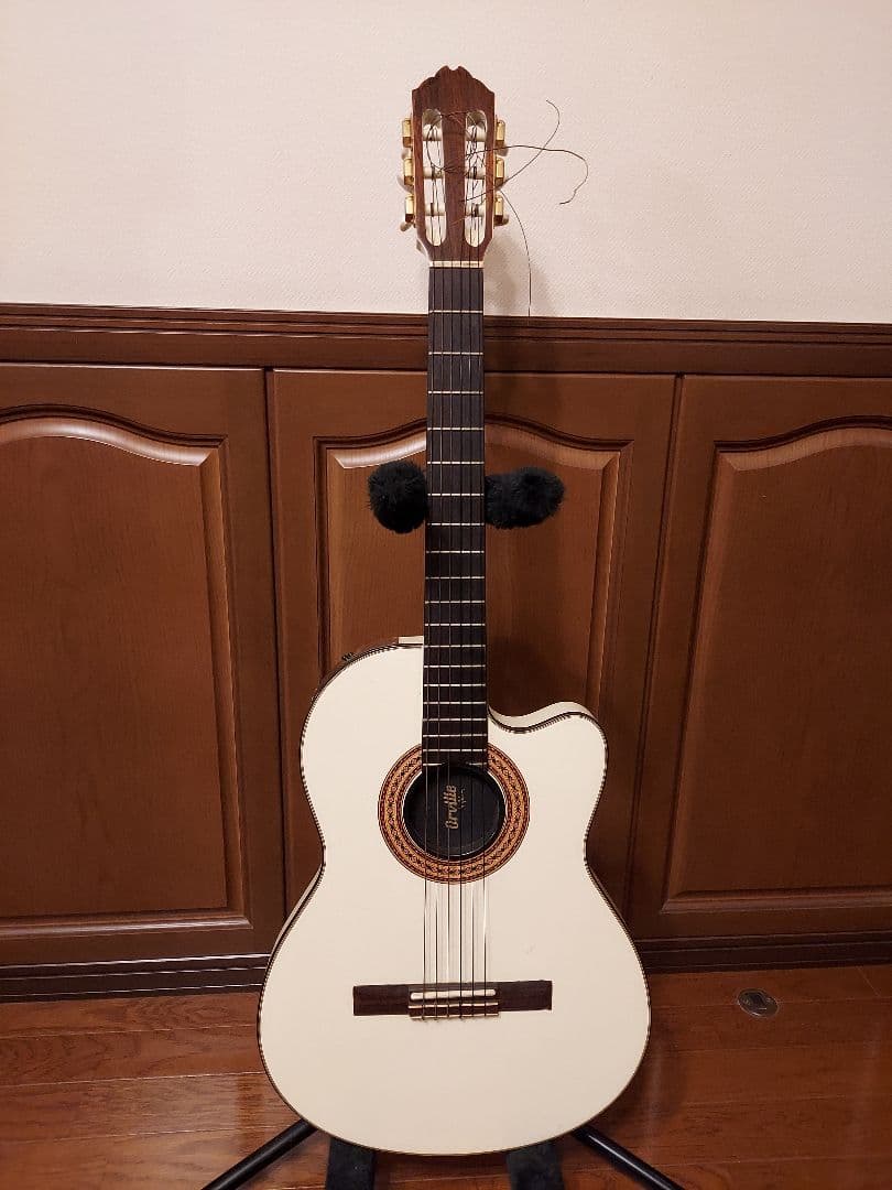 Orville by Gibson Chet Atkins Model