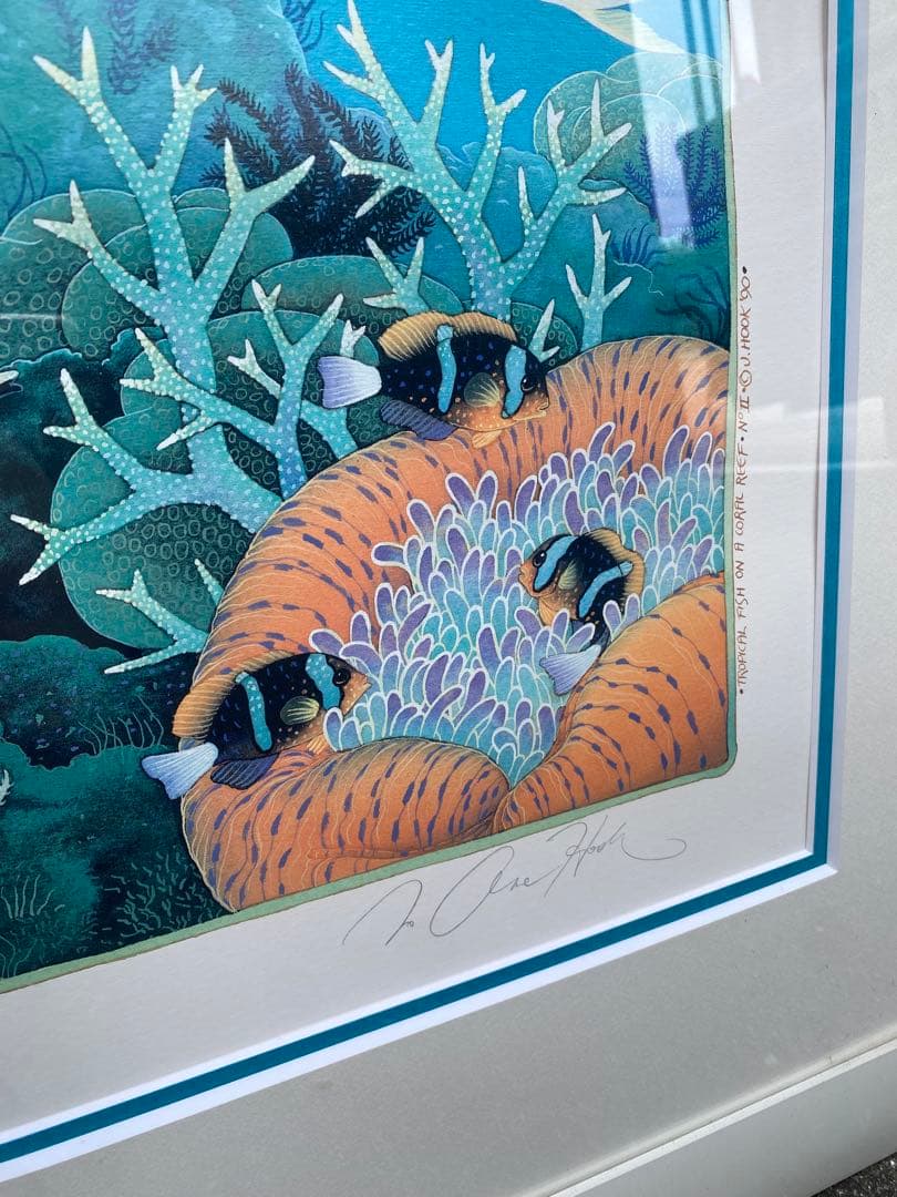 ジョアンフック サンゴ礁の熱帯魚 285/900