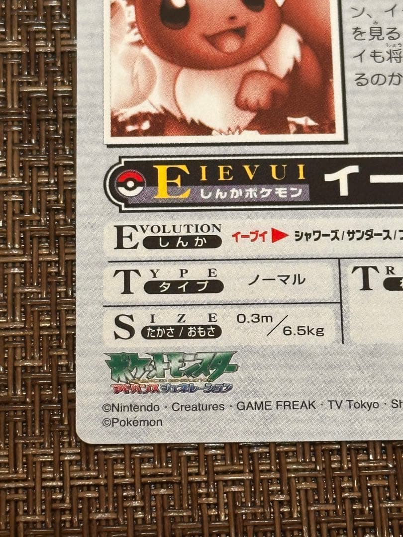 ポケモンカード　「イーブイ、将来の夢は？」