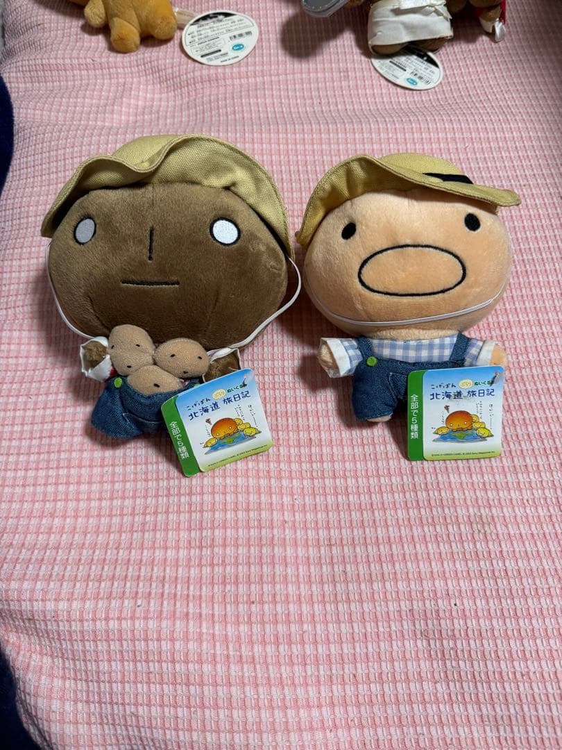 激レア こげぱん キレイパンぬいぐるみ 平成レトロ サンエックス