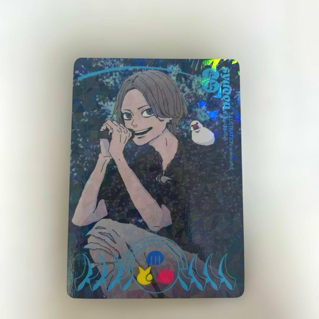 最安値‼️】syudou露骨トレーディングカードシークレット - メルカリ