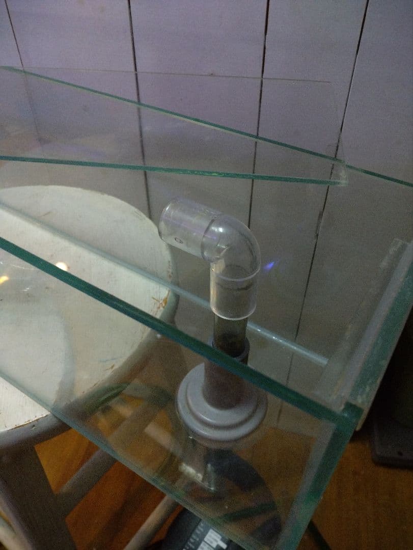 今週限定値下げ】60センチオーバーフローガラス水槽 とエーハイム2213