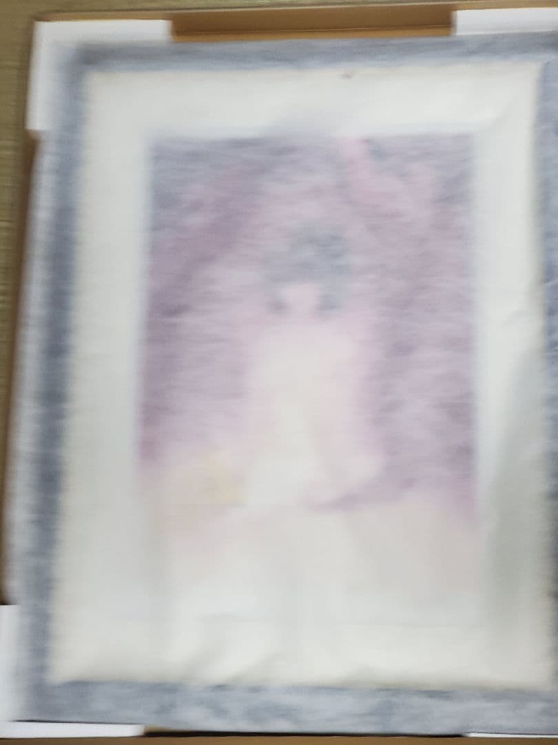 いのまたむつみ 版画 アメシスト アールビバン - yellows.co.jp 日本