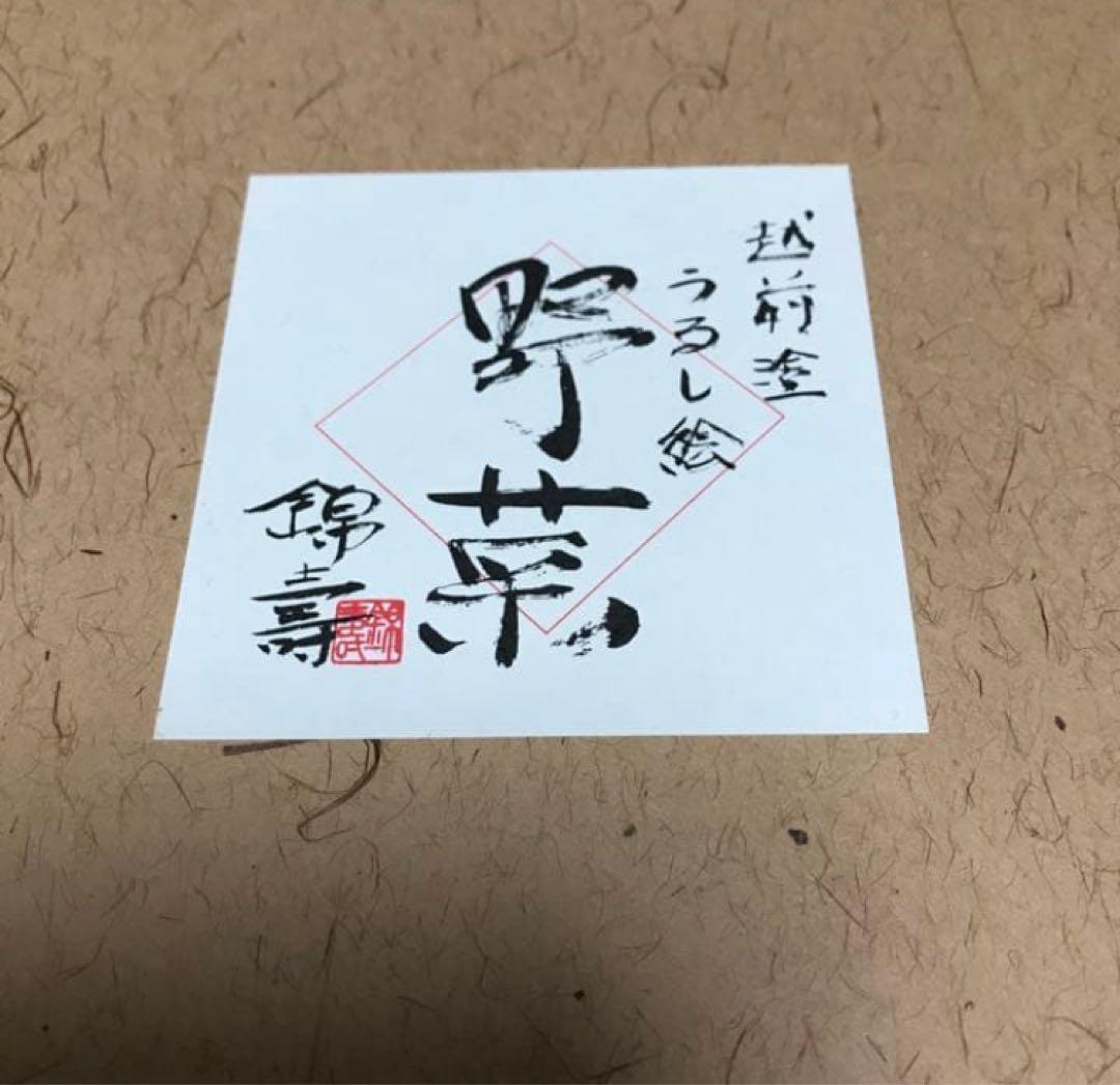 越前塗 野菜　うるし絵 蓋つき　汁椀　5個　絵変り