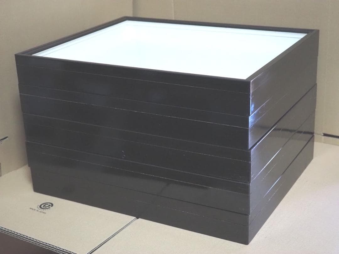 標本箱　ドイツ箱　大型 5個セット(中古、藤本標本用品製等)