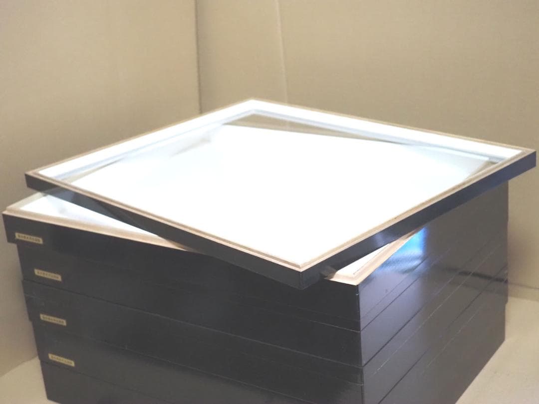 標本箱　ドイツ箱　大型 5個セット(中古、藤本標本用品製等)
