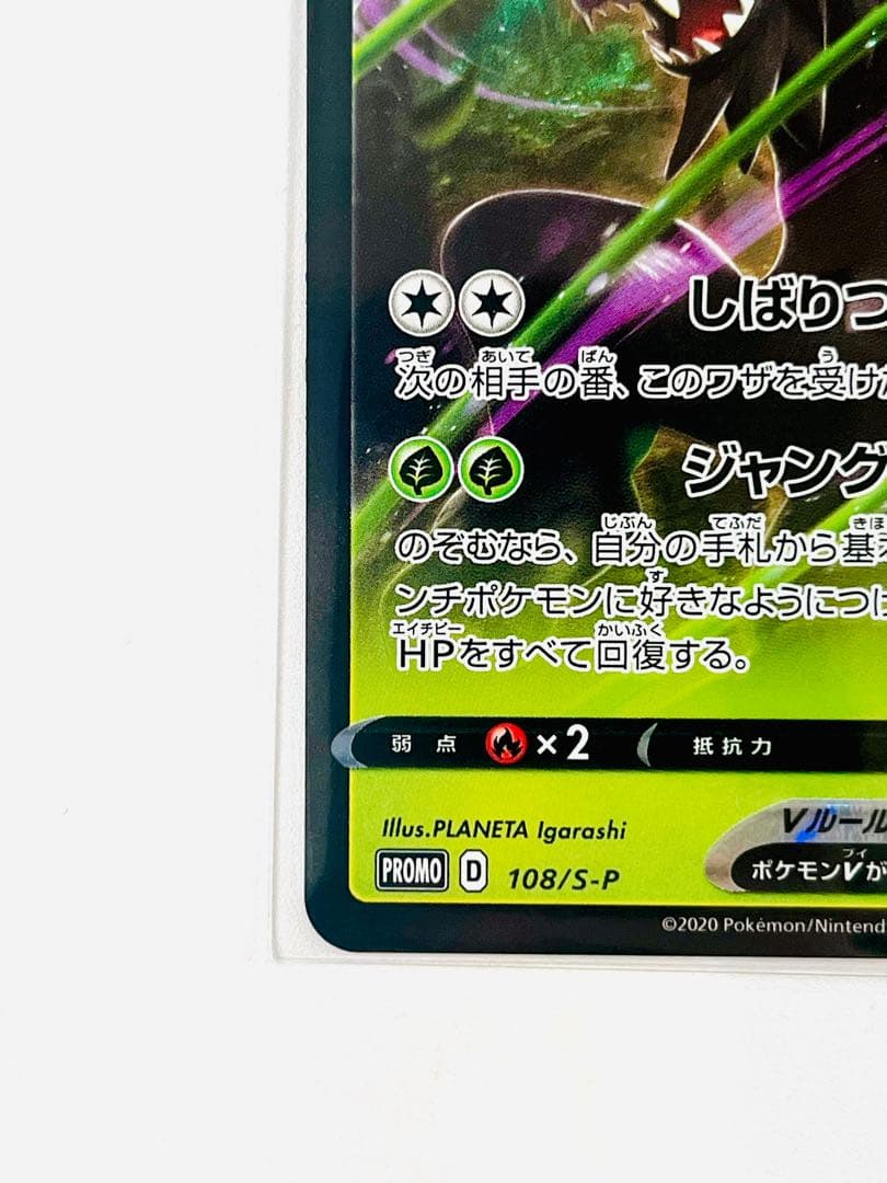【激レア】ポケモンカード　ザルードV ガリガリ君　PSA10 プロモ　当選通知書