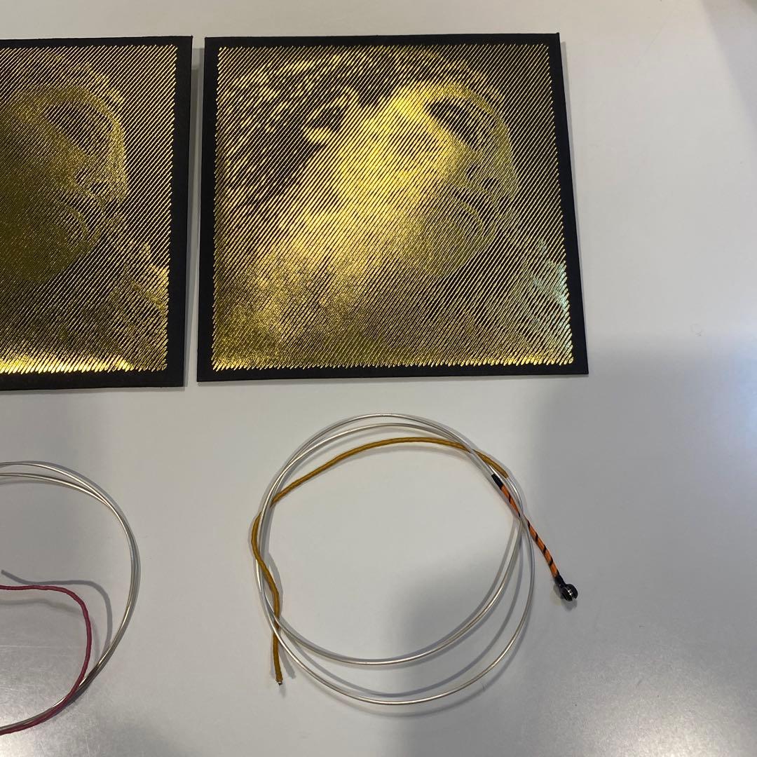 PIRASTRO EVAH PIRAZZI GOLD バイオリン弦 4セット