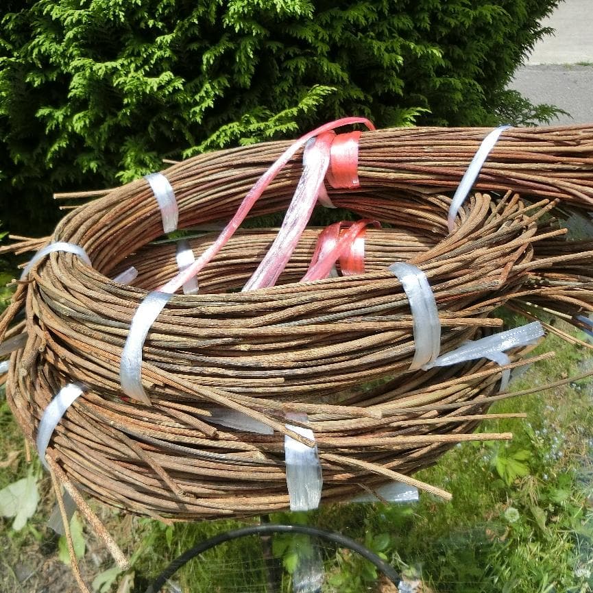 みっくん 青森県岩木山採取　あけび蔓　長 短 各1kg　合計2kg 練習用