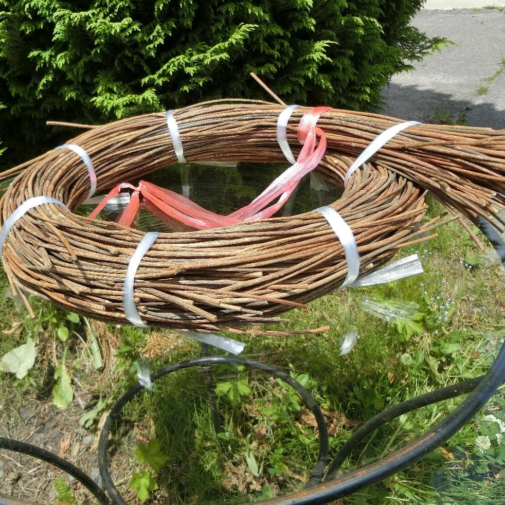 みっくん 青森県岩木山採取　あけび蔓　長 短 各1kg　合計2kg 練習用