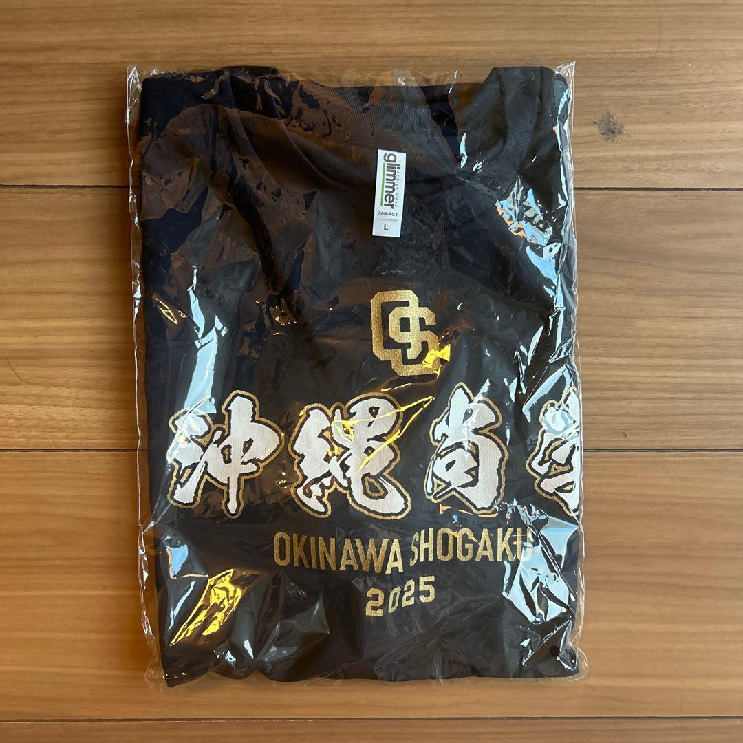 EXPO関西万博大阪 セネガルパビリオン クイーン彫刻作品置物黒檀コクタン