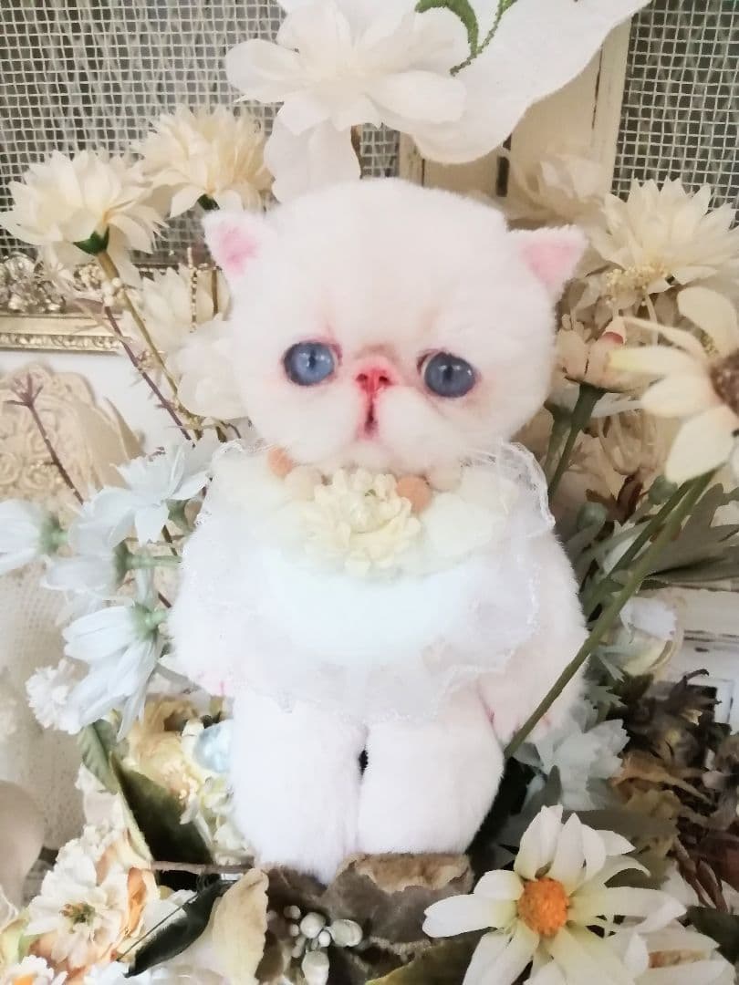 ポッケにゃん♡エキゾチック子猫ちゃん♡アートドール♡ぬいぐるみ