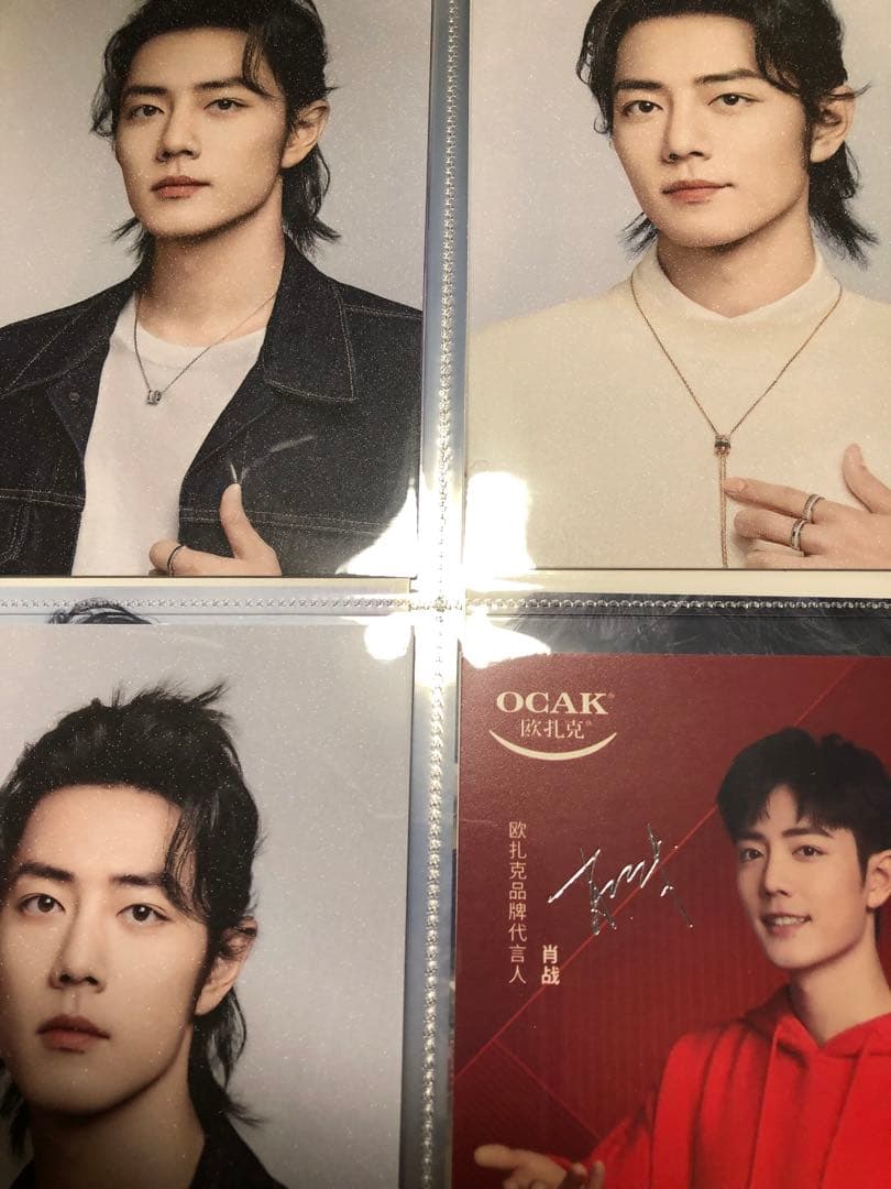 極レア　肖战 カードバインダー＋A4・ポストカード他詰め合わせアルバム　我们