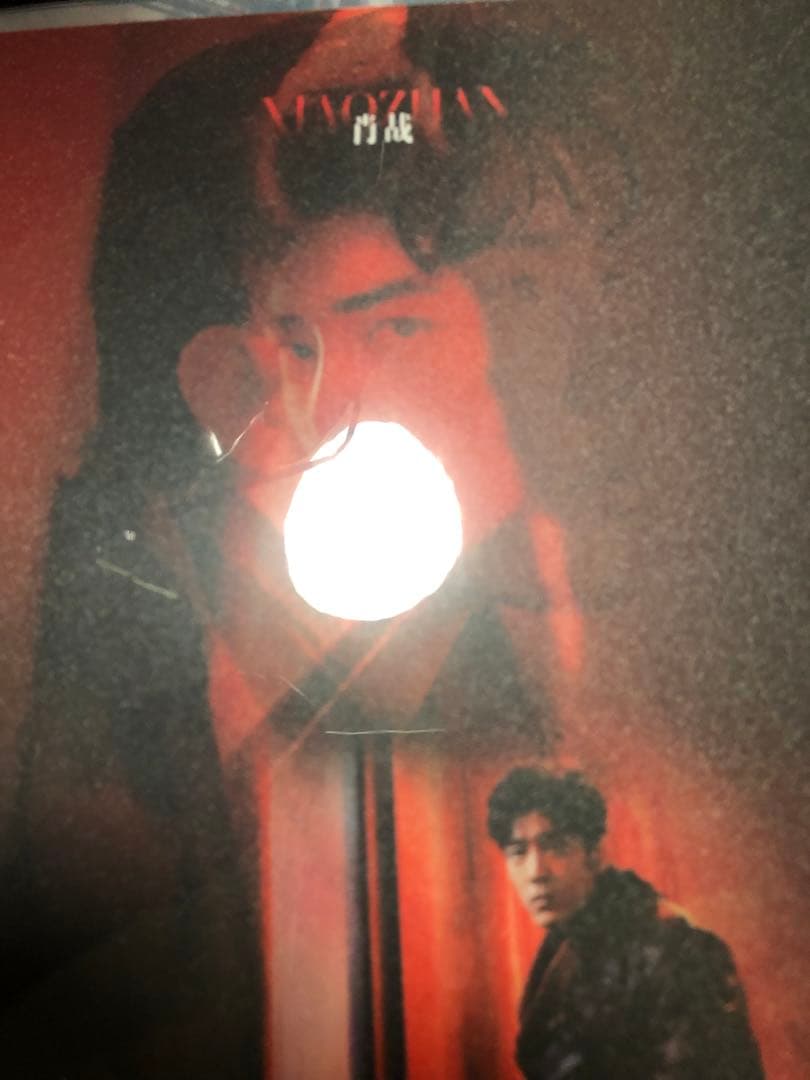 極レア　肖战 カードバインダー＋A4・ポストカード他詰め合わせアルバム　我们