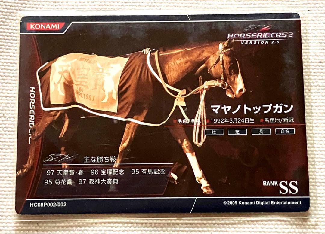 ホースライダーズ マヤノトップガン