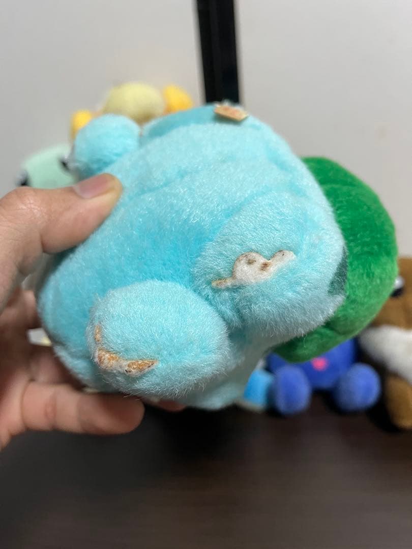 ポケモンぬいぐるみギフトボックス　限定