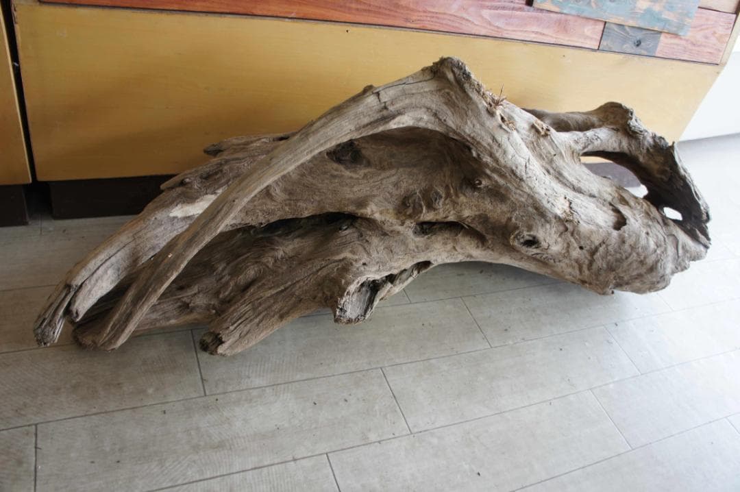 流木 インテリア 大型サイズ オブジェ ケージ 登り木 爬虫類 小動物